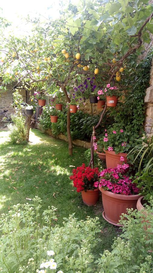 B&B Teresina Villasalto ภายนอก รูปภาพ